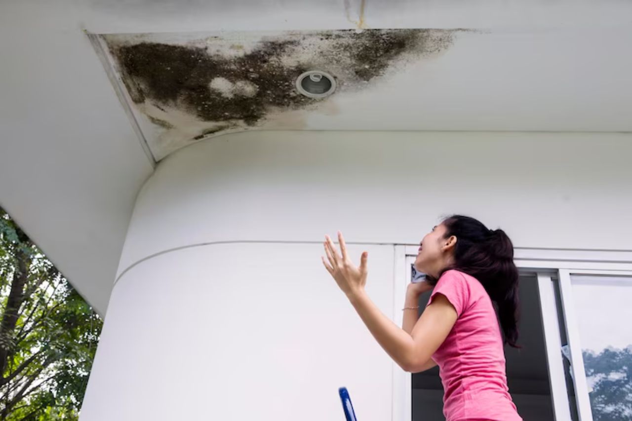 roof leak